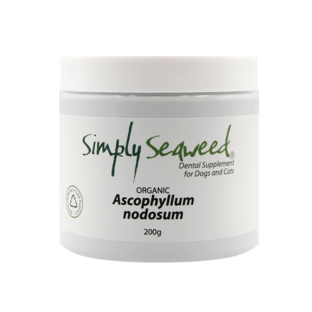 Simply Seaweed – Dental Supplement - The Pet Standard