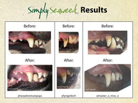 Simply Seaweed – Dental Supplement - The Pet Standard