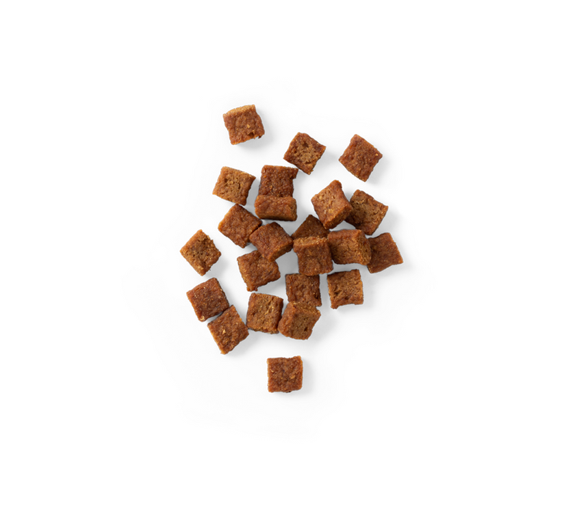 SavourLife – Training Treats