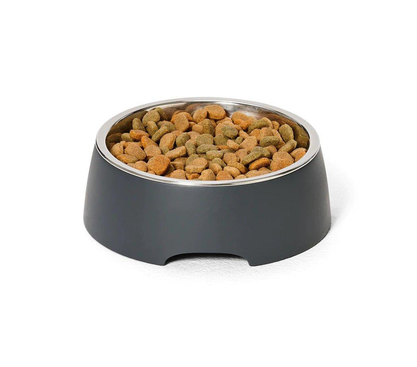 Snooza – Concrete & Stainless Steel Bowl – Charcoal - The Pet Standard