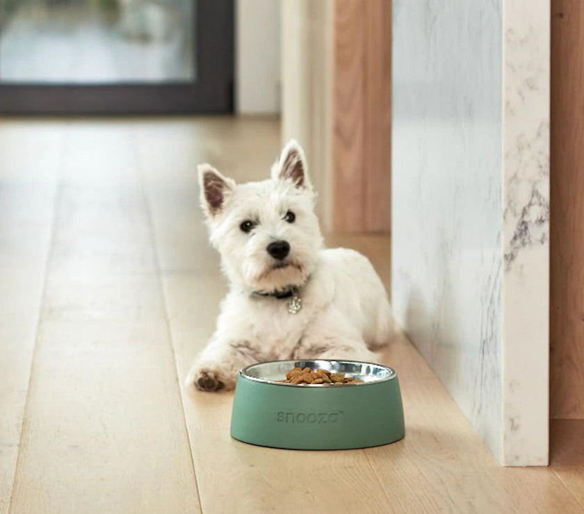 Snooza – Concrete & Stainless Steel Bowl – Sage Green - The Pet Standard