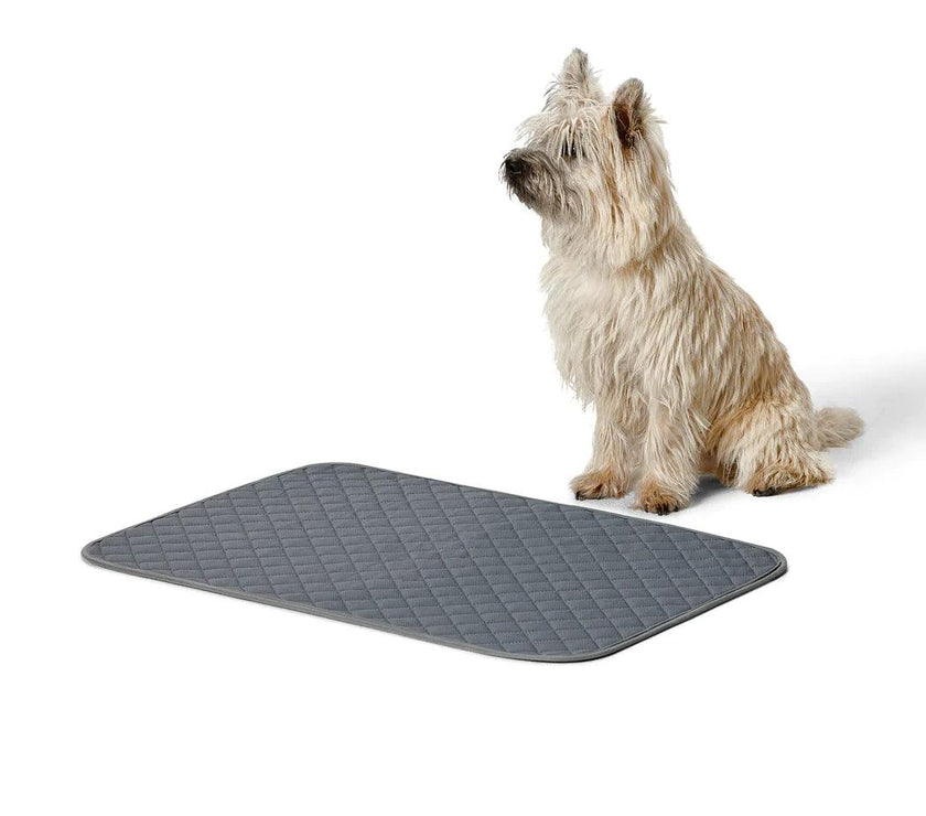 Snooza – Washable Pee Pad - The Pet Standard