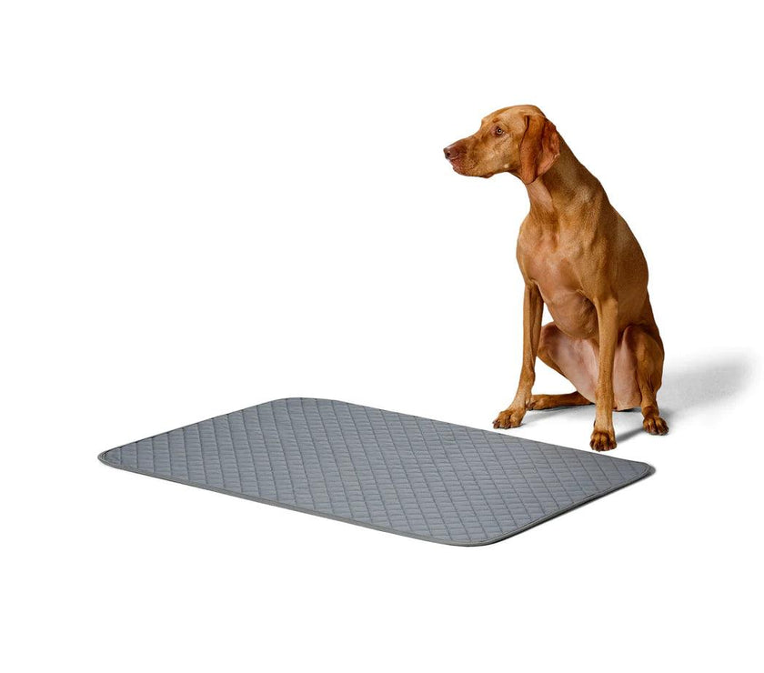 Snooza – Washable Pee Pad - The Pet Standard