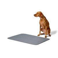 Snooza – Washable Pee Pad - The Pet Standard