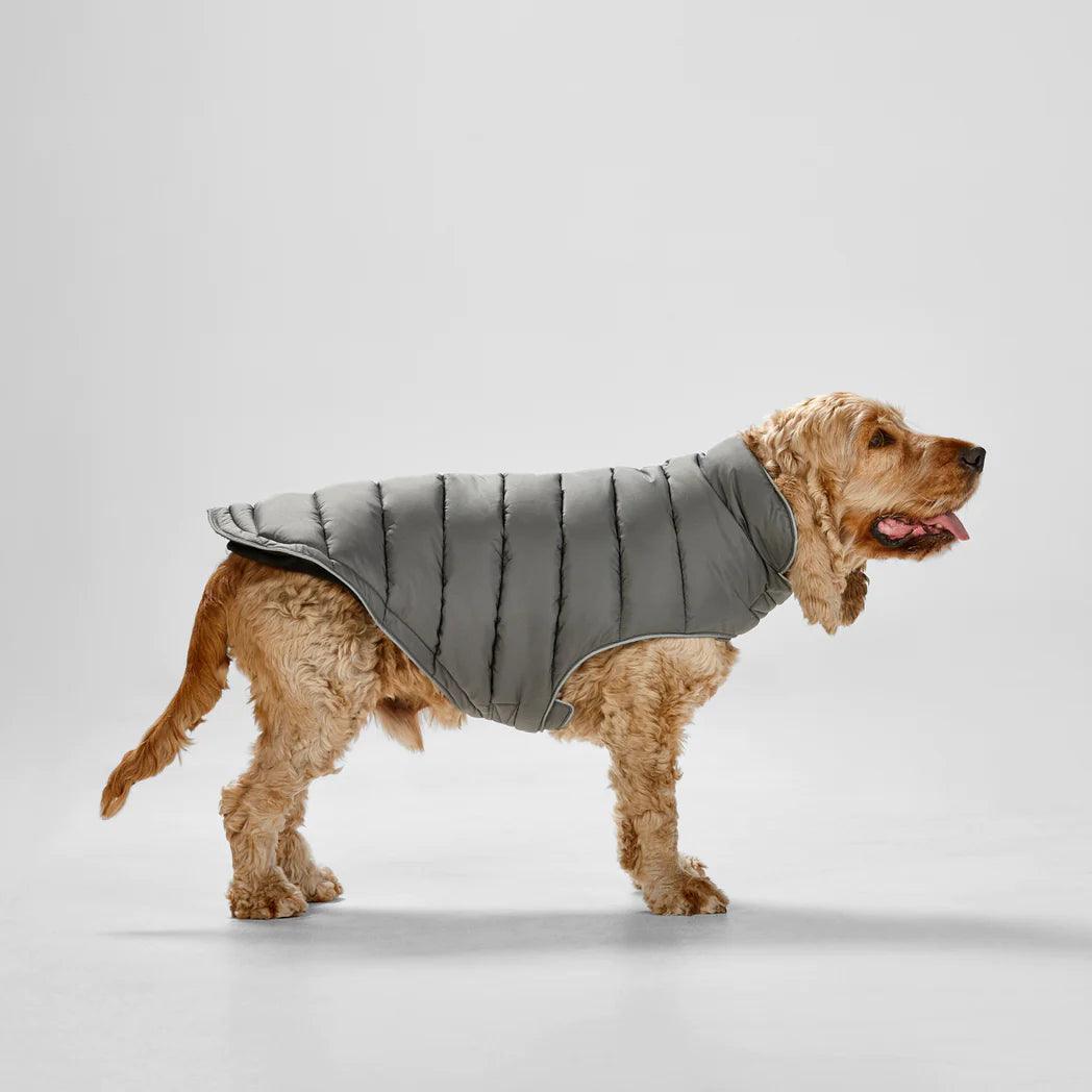 Snooza Wear – Puffer Sport - The Pet Standard