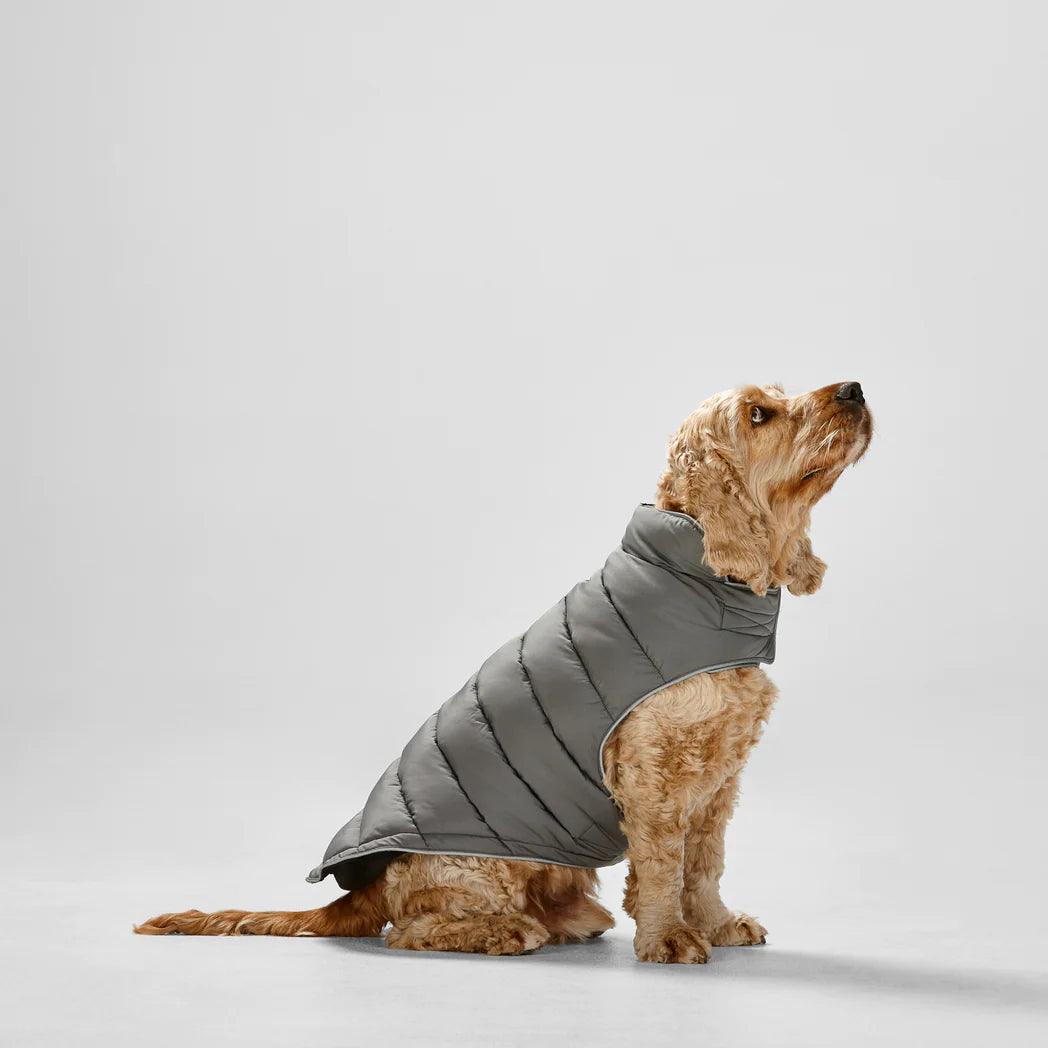 Snooza Wear – Puffer Sport - The Pet Standard