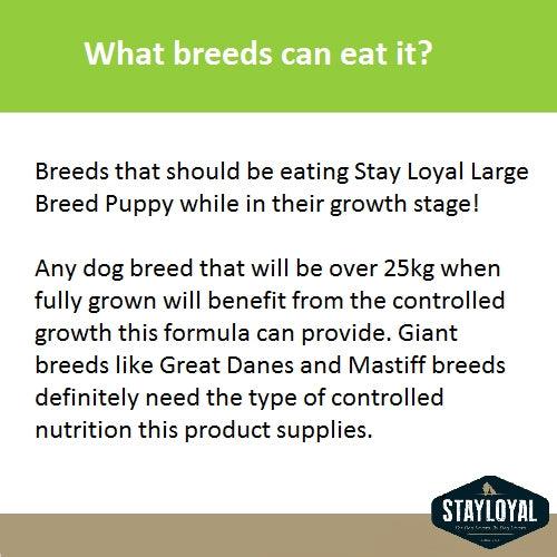 Stay Loyal – Large Breed Puppy – GRAIN FREE - The Pet Standard