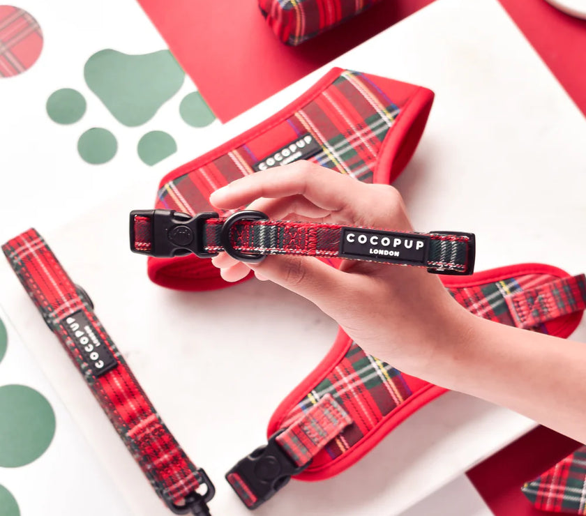 Dog Collar – Tartan