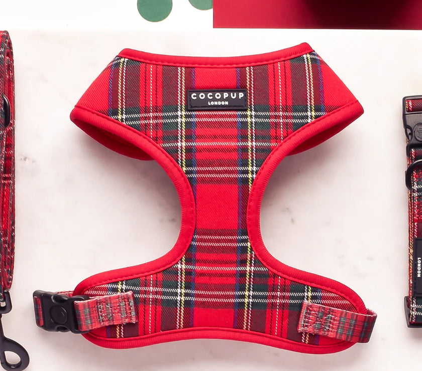 Dogs Adjustable Neck Harness – Tartan
