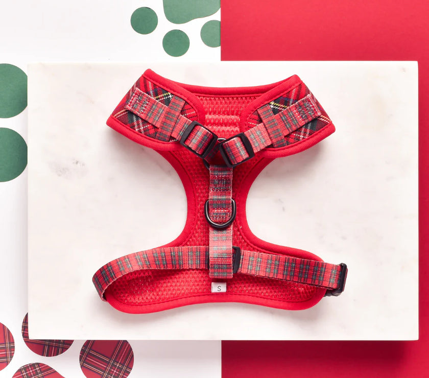 Dogs Adjustable Neck Harness – Tartan