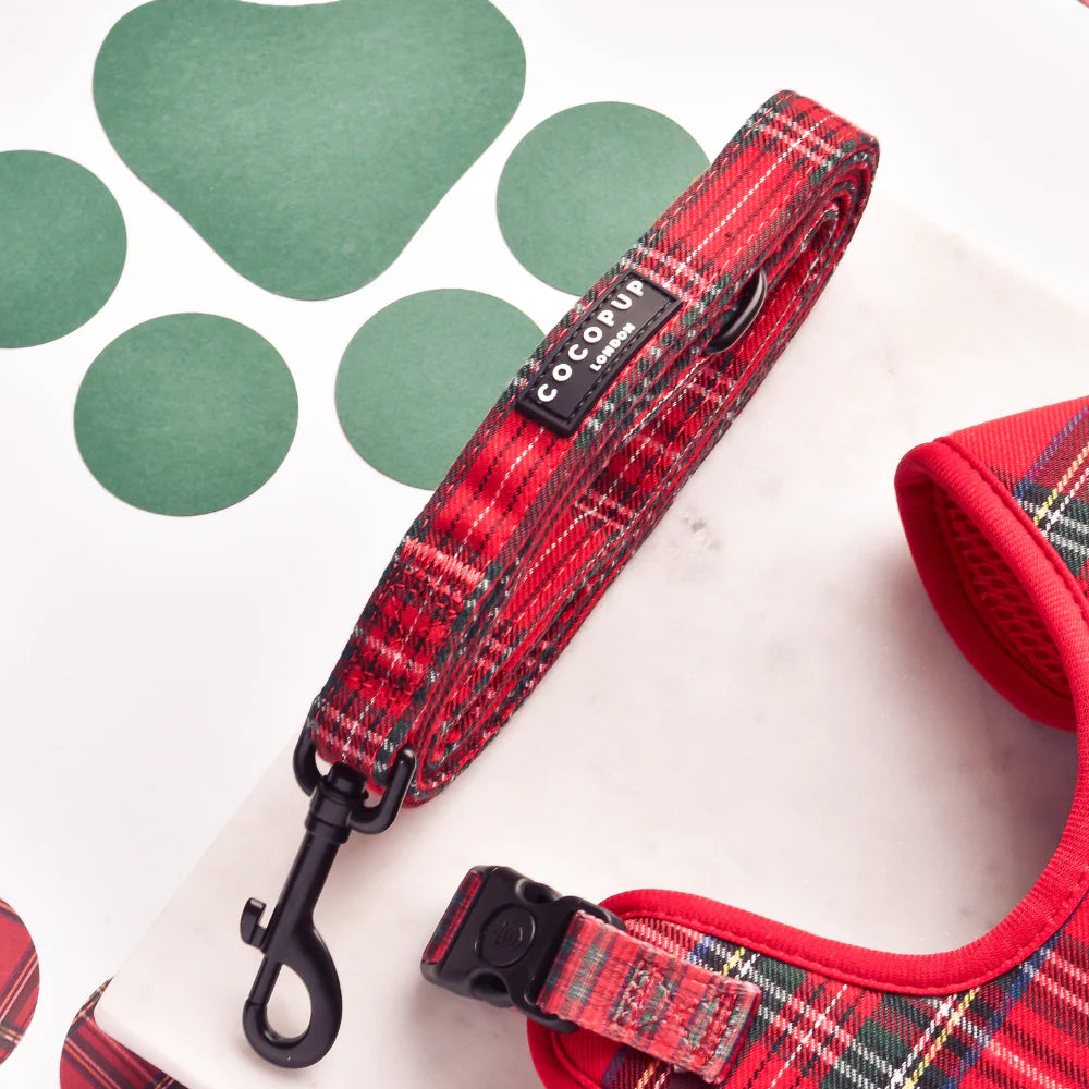 Dog Lead – Tartan