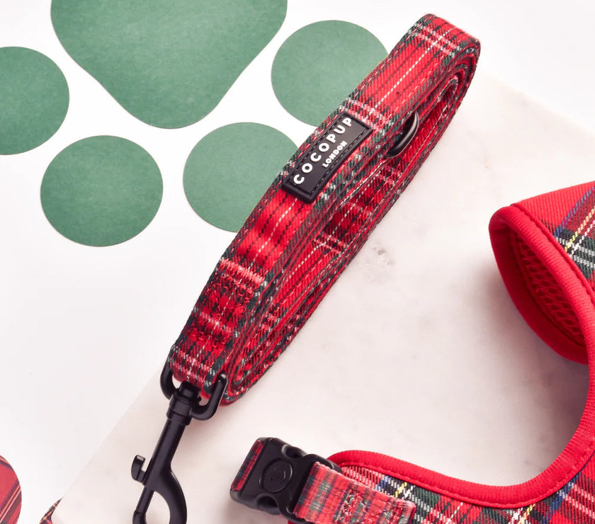 Dog Lead – Tartan