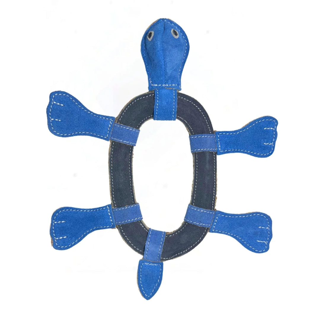 Georgie Paws – Thomas the Turtle