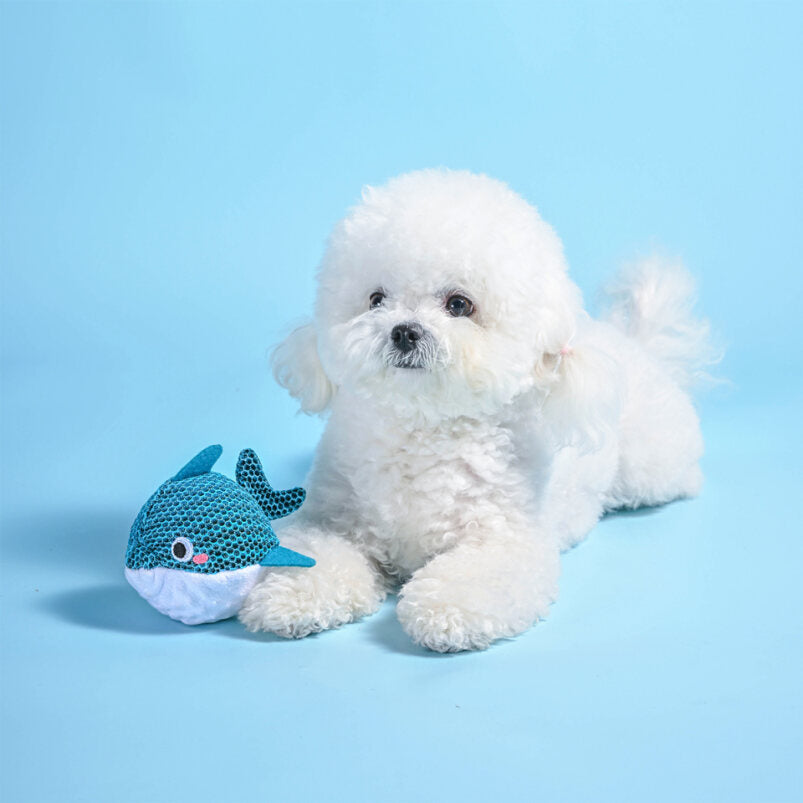 Hugsmart – Ocean Pals – Dolphin - image 3