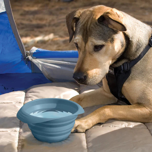 Kurgo – Collaps-a-Bowl - image 3