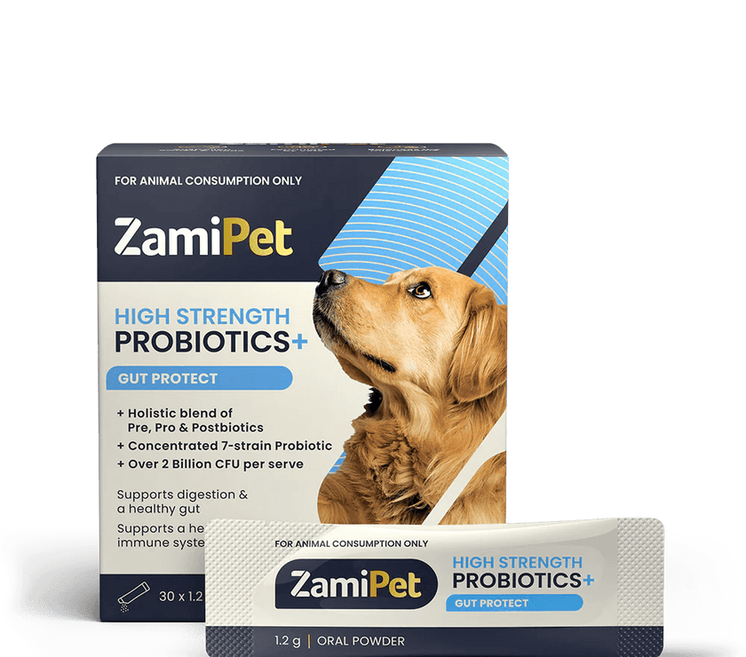 ZamiPet – High Strength Probiotics+ - The Pet Standard