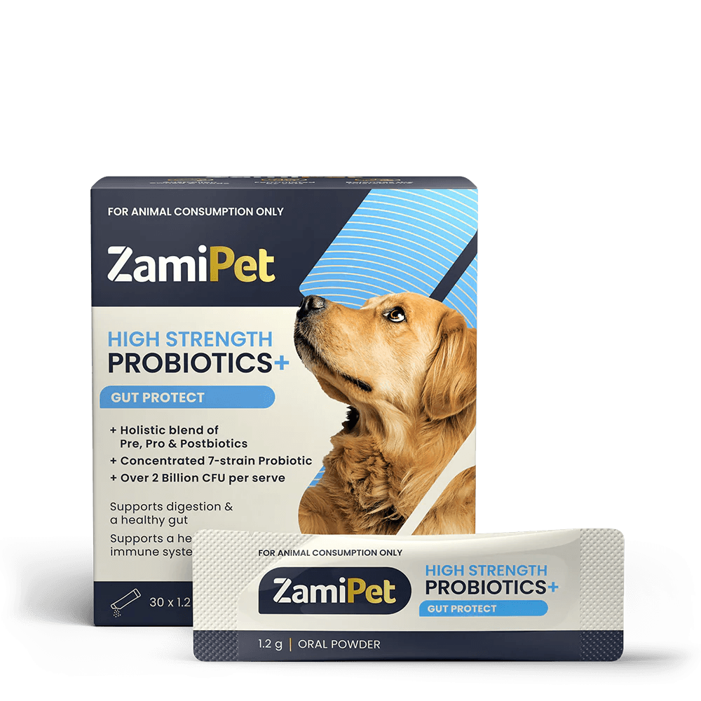 ZamiPet – High Strength Probiotics+ - The Pet Standard