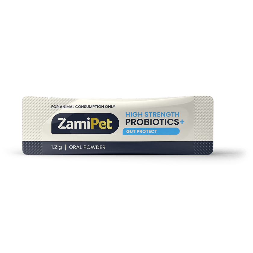 ZamiPet – High Strength Probiotics+ - The Pet Standard