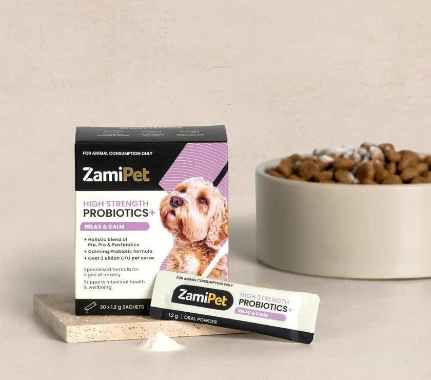 ZamiPet – High Strength Probiotics+ - The Pet Standard