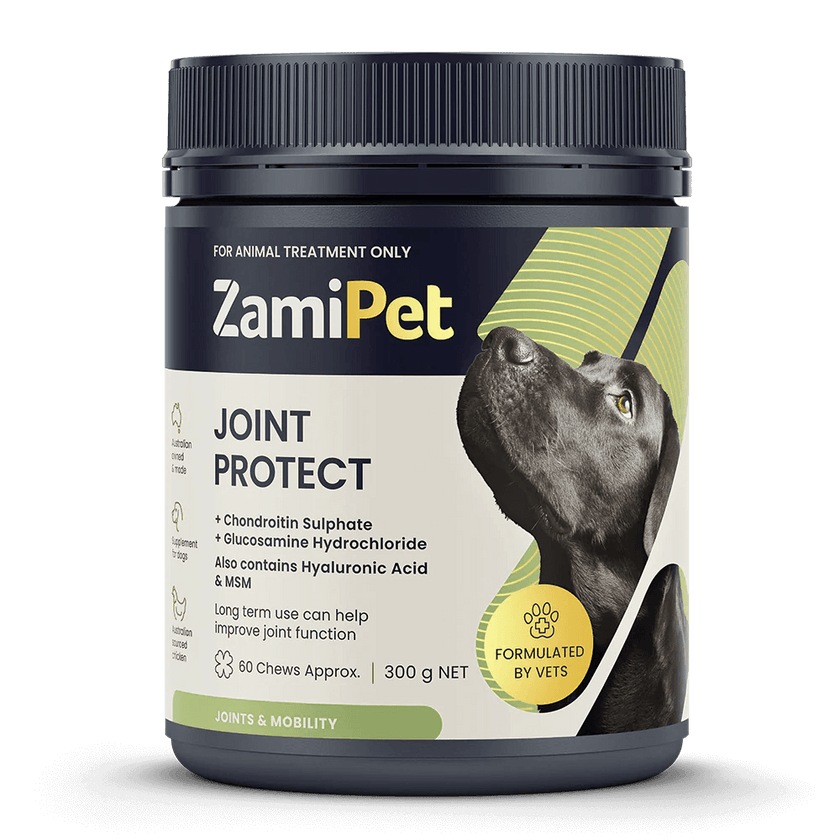 ZamiPet – Joint Protect - The Pet Standard