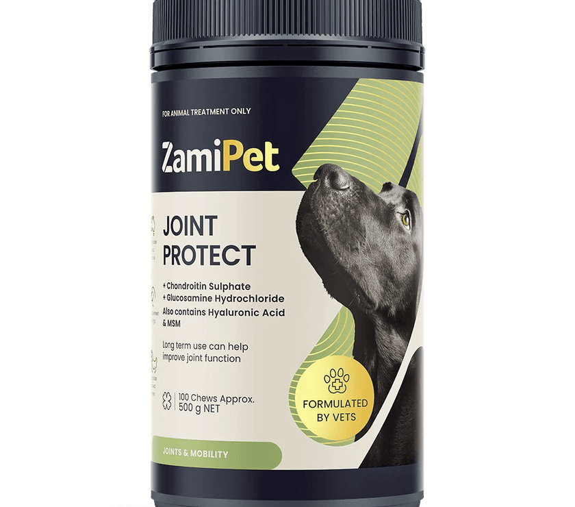 ZamiPet – Joint Protect - The Pet Standard