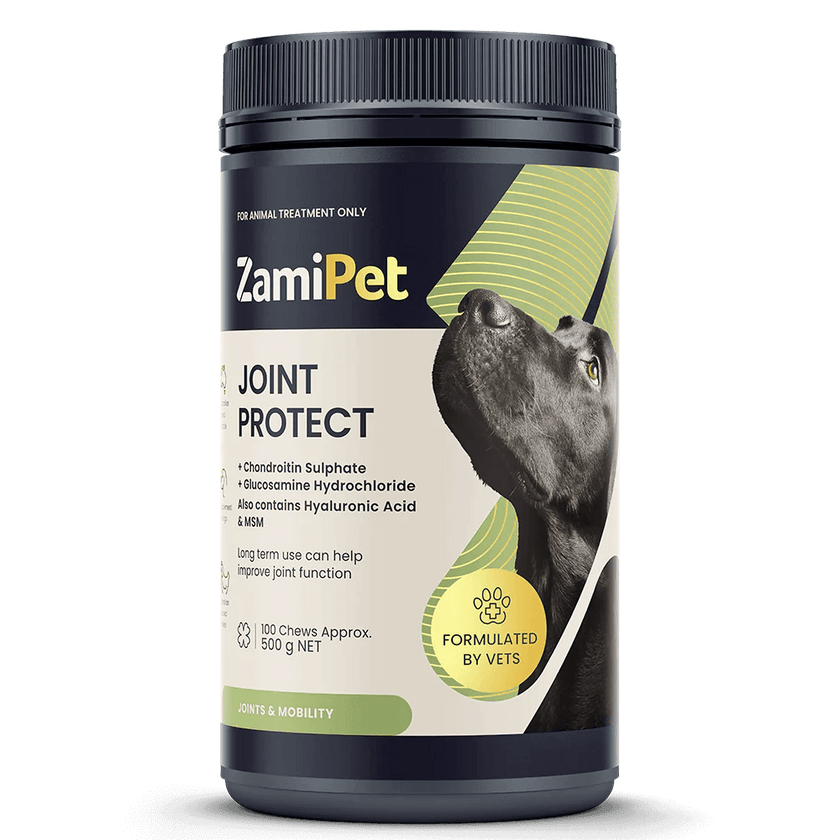 ZamiPet – Joint Protect - The Pet Standard