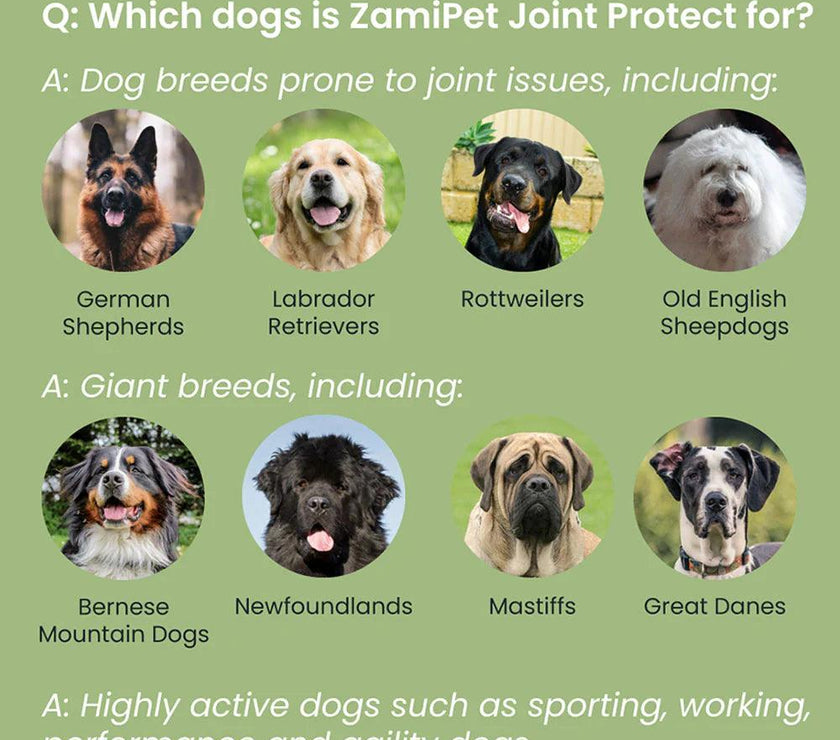 ZamiPet – Joint Protect - The Pet Standard