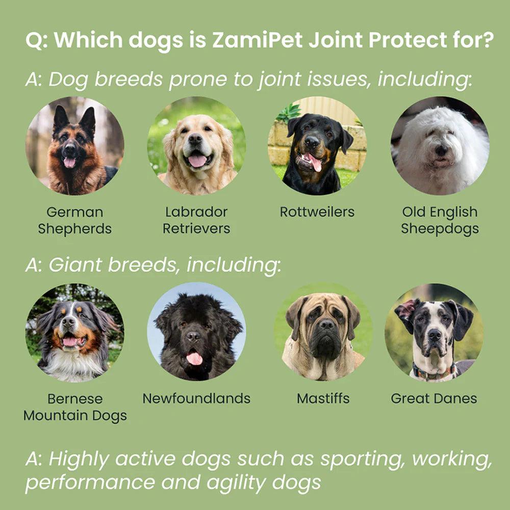 ZamiPet – Joint Protect - The Pet Standard