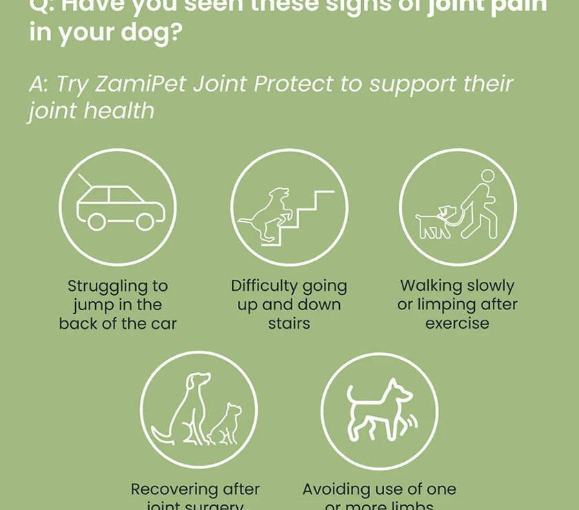 ZamiPet – Joint Protect - The Pet Standard