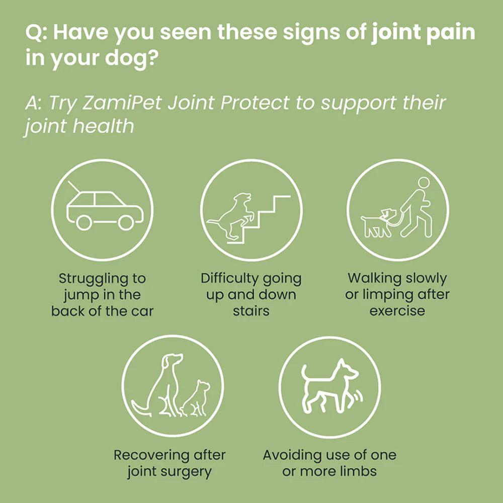 ZamiPet – Joint Protect - The Pet Standard