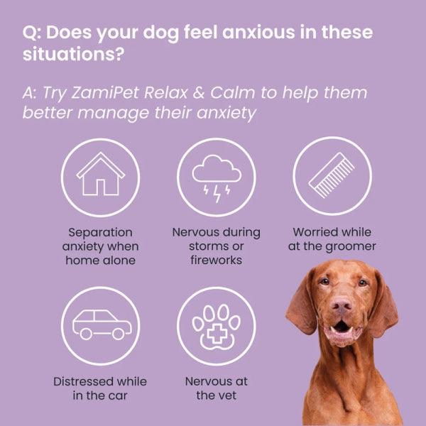 ZamiPet – Relax & Calm - The Pet Standard