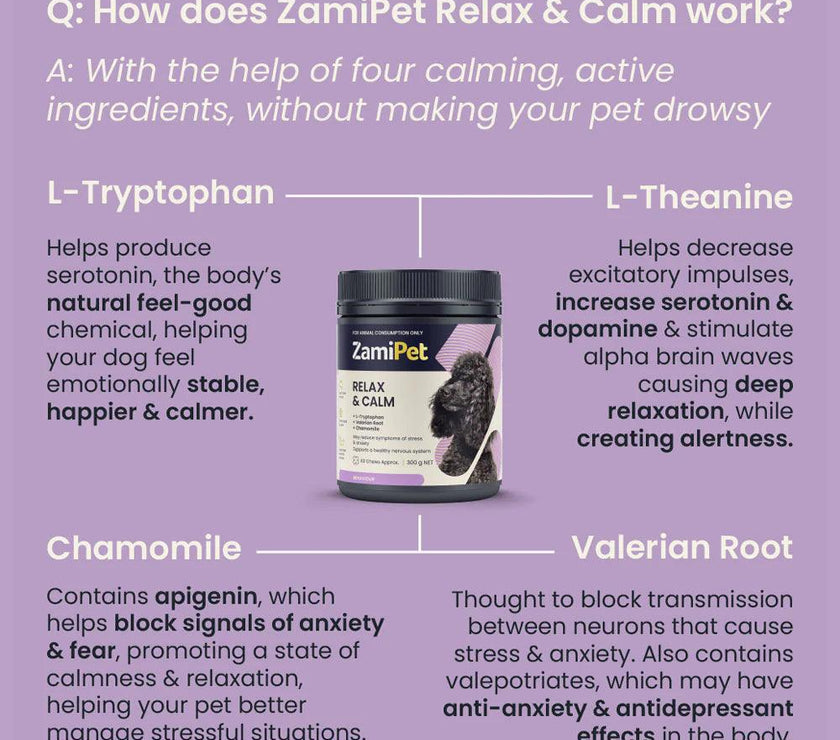 ZamiPet – Relax & Calm - The Pet Standard