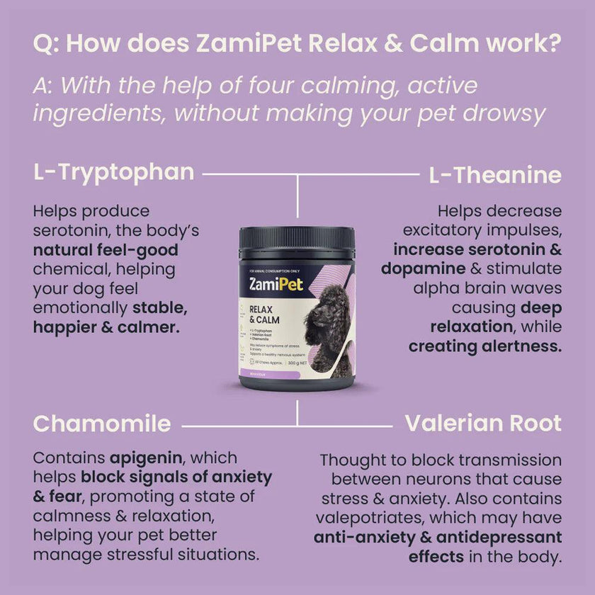 ZamiPet – Relax & Calm - The Pet Standard