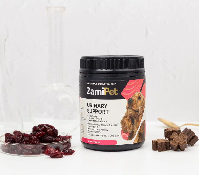 ZamiPet – Urinary Support - The Pet Standard