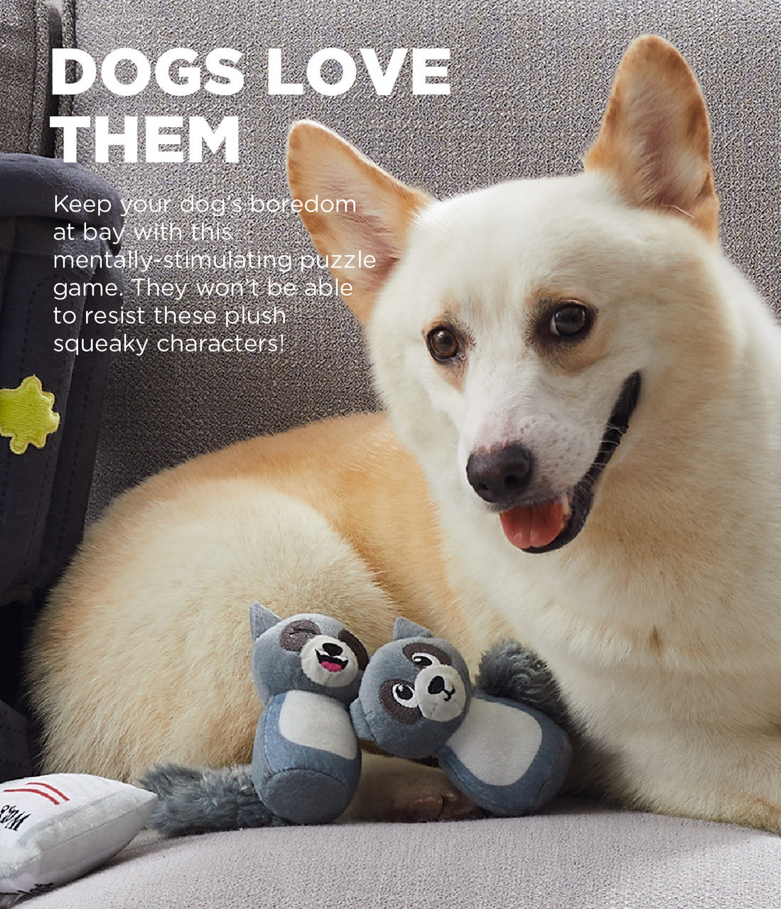 Outward Hound – Hide-A-Raccoon - image 5